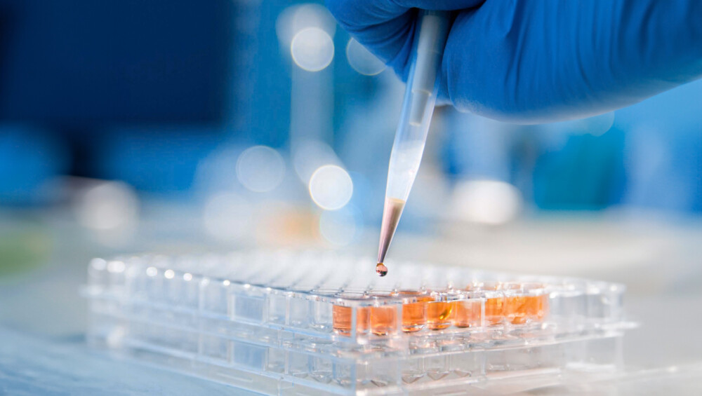 EPAM’s real-time clinical data pulling solution helps eliminate drug failures