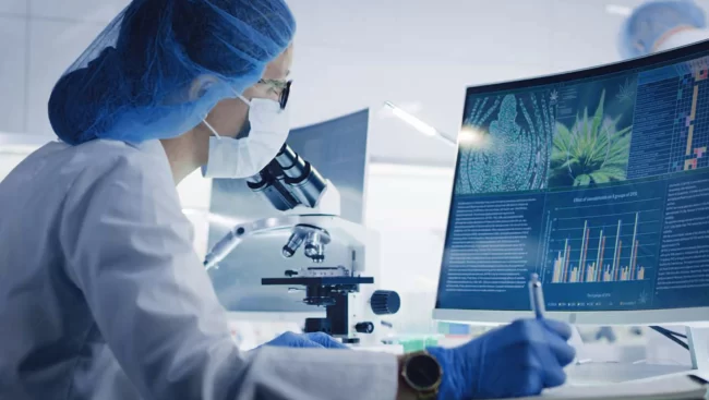 More than productivity: What’s next for AI in pharma and healthcare
